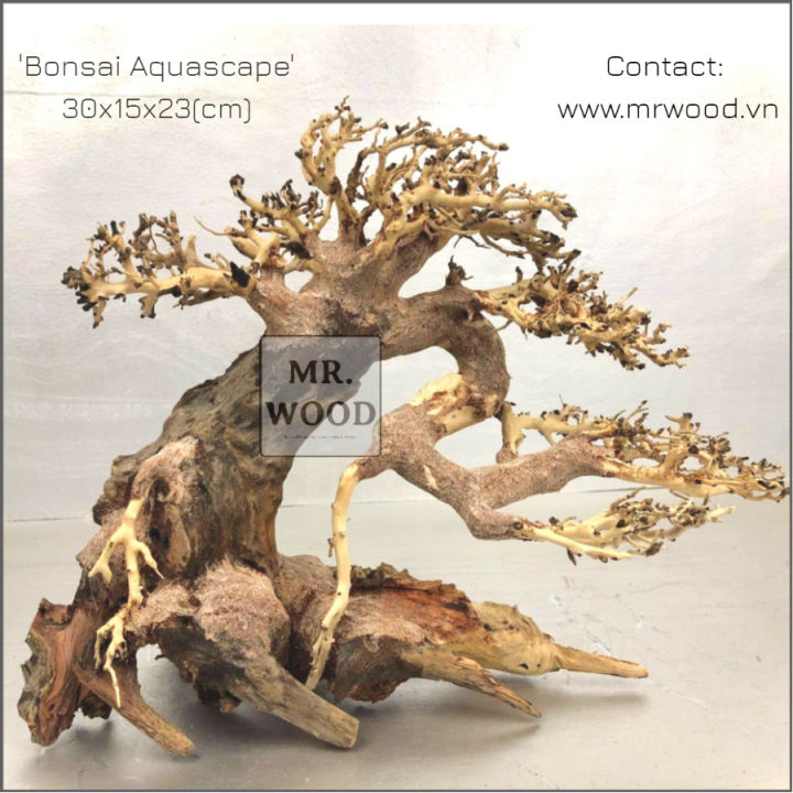 L%C5%A9a%20Bonsai%20mini%20cho%20h%E1%BB%93%20th%E1%BB%A7y%20sinh%20-%20X%C6%B0%E1%BB%9Fng%20L%C5%A9a%20Mr%20Wood%20-%20Image%203