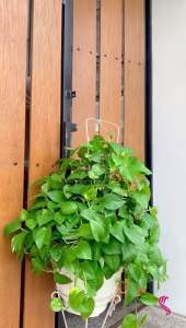 Baju Gamis Wanita Zernita Long Dress Bahan Rayon Premium Busana Pakaian Muslimah