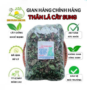 100g thân lá cây sung sấy khô