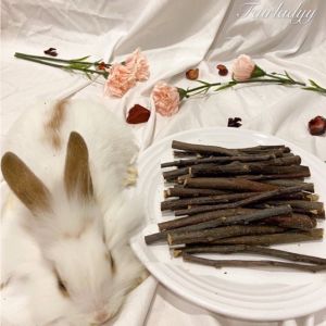 Pet apple stick wood branch- molar rabbit hamster chinchilla guinea pig chew toys food snack treat (50/100g)