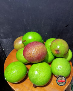 (PAKET 1 KG) BUAH BINTARO/BUAH PENGUSIR TIKUS/SIMPALAK/CERBERA MANGHAS INSEKTISIDA ALAMI PENGUSIR HAMA  DLL