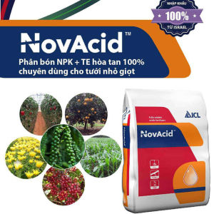 [HCM]Phân Bón Hoà Tan Israel NovAcid 19-19-19+3CaO+Te là Phân Bón Lá hòa tan 100% trong nước dùng qua hệ thống tưới nhỏ giọt hay tưới phun sương cho hoa và cây