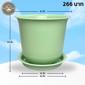 กระถาง กระถางต้นไม้ มินิมอล ถ้วยจีน+จาน ขนาด 6 นิ้ว สีเขียวพาสเทล 10 ใบ ชิ้น อัน