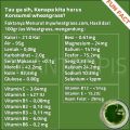 BENIH RUMPUT GANDUM 250 GRAM WHEAT GRASS SEED. 