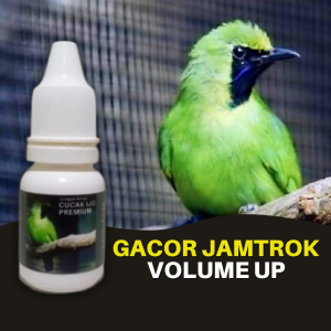 Vitamin Burung Cucak Ijo Premium Buat Lomba & Harian Biar Gacor