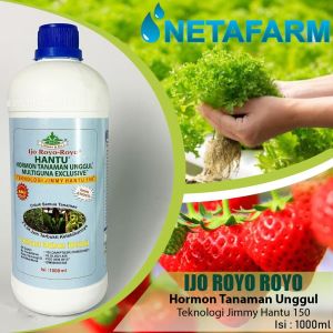 Pupuk Organik JIMMY HANTU Ijo Royo Hormon Multiguna 1000 ml