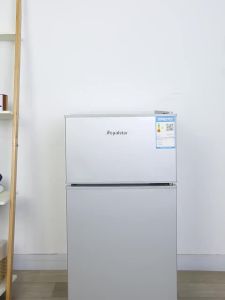 Royalstar Refrigerator Single and Double Doors Rental Household Mini Refrigerator Small Mini Refrigerator Special Offer Power Saving Frozen Refrigeration