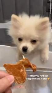 ไก่อบแห้ง 350กรัม สันในไก่อบแห้ง 350กรัม chicken jerky - สำรวจข้อมูลเพิ่มเติม