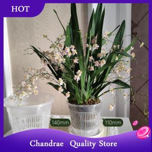 [Chandrae] 11 14cm Mesh Pot Root Control Transparent Flowerpot For Orchid Flower Breathable Growth Container Garden Plastic Flower Pot