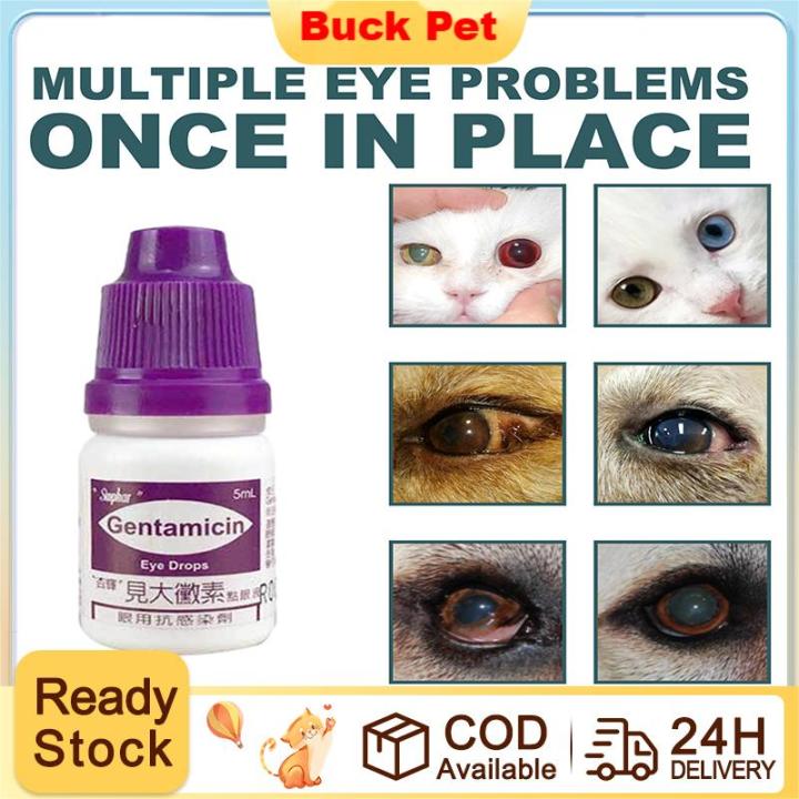 5ml Gentamicin Pet Eye Drops for Cat Dogs Eye Infection Opthalmic Eye