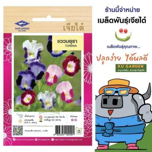 CHIATAI 🇹🇭 เมล็ดพันธุ์ดอกไม้ เจียไต๋ แววมยุรา F1#H033 เมล็ดพันธุ์ ดอกไม้ เมล็ดดอกไม้ ตราเครื่องบิน