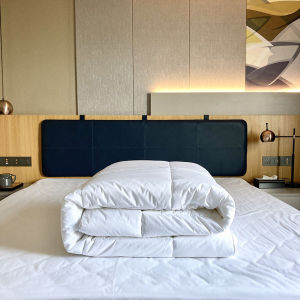 Ruột Chăn KATE - COTTON - PHAO Chần Gòn Màu Trắng Trơn RIOTEX HOME Chất Liệu Không Xù Dùng Cho Gia Đình Khách Sạn