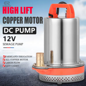 12V 24V 48V Water Pump Electric Vehicle Small Shallow Well Water Pump 1 Outlet DC Solar Submersible Pump