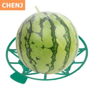 [COD] CHENJ KITCHEN 10Pcs Watermelon Stand Fruit Stand Support Basket Frame Vegetables Plant Tray Rack Melon Squash Pumpkin Protective Holder