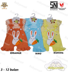 Babysmart - Setelan Baju Anak/Bayi Perempuan Cewek model Jumper/Romper/Hansop motif RABBIT LITTLE SNI umur 3-12 bulan