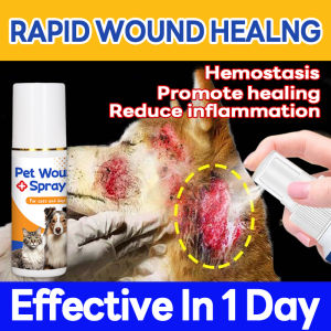 Quick Heal LLS Wound spray for dog Dog wound spray Wound spray for cat Pet wound spray Spray for dog wound Quick heal wound spray