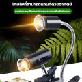หลอดไฟให้ความร้อนและรังสี UVA + UVB 3.0 ไฟนก ไฟเต่า ไฟกิ้งก่า ไฟสัตว์เลื้อยคลาน ให้ความอบอุ่นสัตว์เลี้ยง ไฟกก เต่าบก ​ลูกนก สัตว์เลื้อยคลาน. 