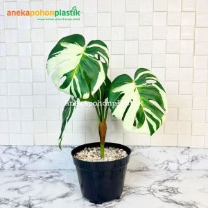 Pohon Artificial Daun Monstera Variegata Juntai X5 Latex Pot Dasar Hiasan Rumah Dekorasi Ruang Tamu