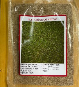 Hạt Giống Cỏ Nhung nhật trồng thảm cảnh -gói 50gr