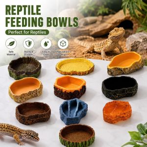 GURUNGMANI Multicolor Reptile Feeding Bowl Tree Stump Shape Multi-functional Reptile Bathtub Durable Easy Clean Micro Landscaping Basin For Reptiles