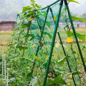 Lưới Leo Cây HDPE 2x5m | Lưới Làm Giàn Trồng Rau Dưa Leo Khổ Qua Ban Công Sân Thượng