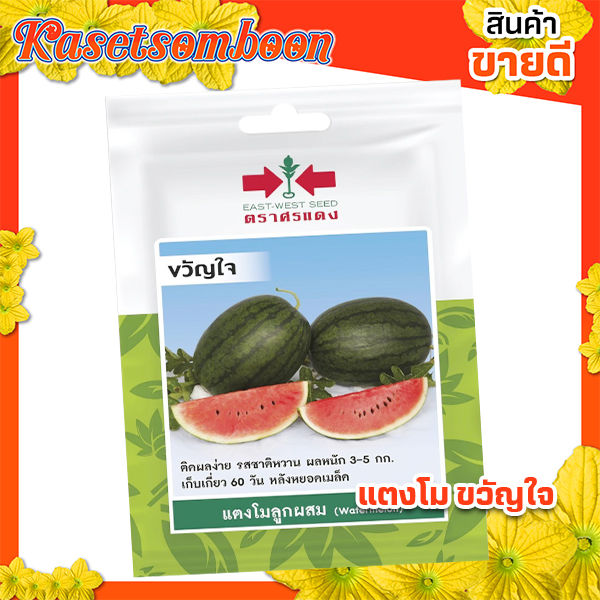 เมล็ดพันธุ์แตงโม ศรแดง ขวัญใจ สำหรับปลูกสวนครัว