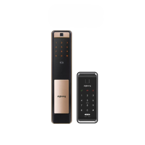HDB/BTO Door Lock Bundle (Dual Sync) - Zigbang SHP-P72 Wooden Door Smart Lock (Gold) + SHP-A21 Metal Gate Lock (Black)