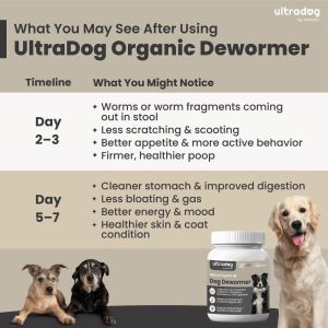 UltraDog Senior 7+ Years Dog Care Supplement Visible Results in 2–3 Days