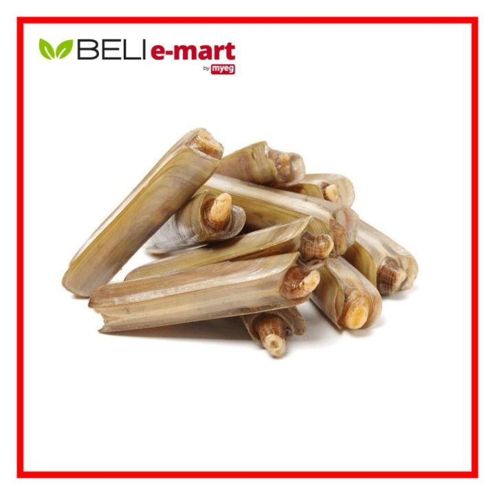 Bamboo Clam (1kg±) Lazada