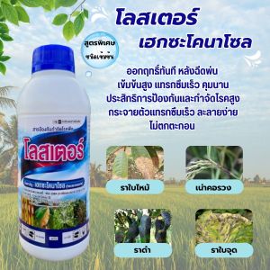 โลสเตอร์ (เฮกซะโคนาโซล) สารป้องกันกำจัดโรคพืช กำจัดโรคได้กว้างขวาง ใบไหม้ ใบจุด แอนแทรคโนสในทุเรียน