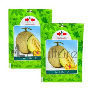 Benih Melon ALINA F1 Isi 40 Butir Kemasan Pabrik Cap Panah Merah