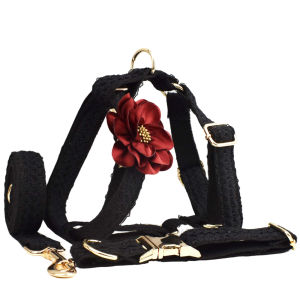New black lacevest dog collar designed for dog weddings exclusively for cross-border sales includes a dog leash and can be customized with an engraving