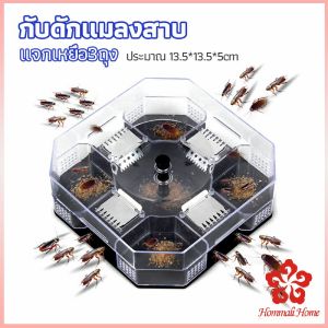 ที่ดักแมลงสาบ ที่ดักแมลงสาบ กล่องดักแมลงสาบ cockroach trap