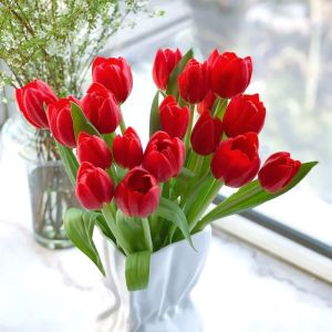 Tulip seeds 郁金香种子 四季可种植水培土培种子hydroponic and soil cultured for four seasons flowering and fast-growing seeds 户外家居花园装饰