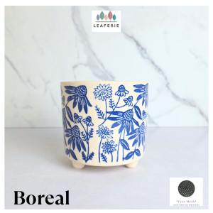 The Leaferie Boreal plant pots. flowerpot . flowerpots . flower pot . planter . planters . Ceramic . Plants