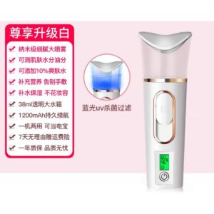 💥 Hot Item💥Spray Hydrating Apparatus 纳米喷雾补水仪冷喷机美容注氧蒸脸仪家用小型脸部加湿便携蒸脸器