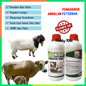 DOKOH Kambing Super Gemuk - Kambing Domba Biar Gemuk - Menambah Nafsu Makan Kambing Domba
