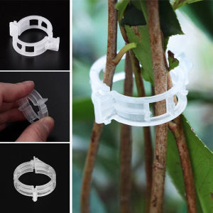 【Local Warehouse】100pcs Reusable Plastic Plant Support Clips Plants Hanging Vine Clip Garden Greenhouse Fork Vegetable Tomatoes Clips Supplies Plastic Plant Clip For Tomato Reusable Grafting Fixing Tool Hanging Trellis Vine Connects
