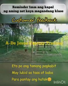 【COD】Free Rope Chicken Net 50/100 Meters 8ft Net for Chicken Lambat Fishing Net Fish Net Garden Net
