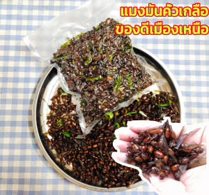 พร้อมส่ง แมงมัน แมงมันคั่ว​ แมงมันทอด​ แมงมันคั่วเกลือ อร่อย หอม มัน สด​ สะอาด​ อร่อย​ ฤดูกาลนี้ พร้อมทาน แมงทอด​ แมลงทอด​ จากเชียงราย​