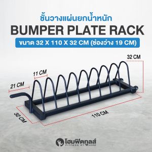 ที่เก็บแผ่นน้ำหนัก แบบมีล้อเลื่อน ช่องเก็บแผ่นน้ำหนัก Bumper Plate Rack Plate Storage Racks - Homefittools