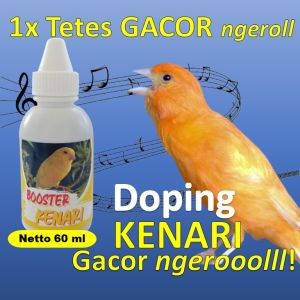 Vitamin kenari super gacor / Vitamin kenari ternak / Vitamin kenari cepat gacor / Vitamin kenari biar suara keras / Vitamin kenari paud biar gacor / Vitamin kenari gacor / Vitamin kenari macet bunyi / Vitamin kenari gacor ngeroll / Booster Kenari 60 ml