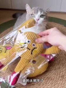 【Ship in 24H】猫咪玩具华夫饼发声毛绒玩偶幼猫磨牙耐咬猫薄荷自嗨解闷逗猫玩具