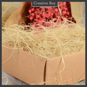 [Creative] Jute Nesting Material 30g Nest Fibre Aviary Birds Canaries Nest Filled Grass Habitats