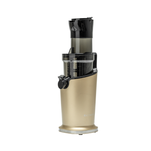 ECOHOME Slow Juicer ESJ999 2 in 1 Function Pengekstrak Buah Tanpa Ampas RPM65 Low Watt & Easy Clean