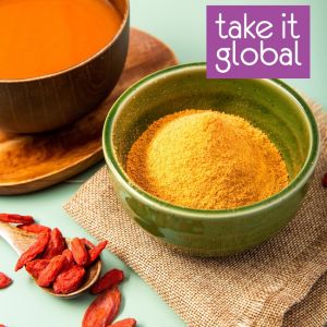 Gojiberry Goji Berry / Wolfberry Powder 枸杞粉 - food grade