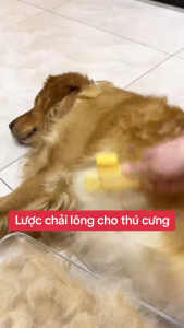 Dog Grooming Tool ABS Deshedding Brush Removes Loose Hair Massage Comb For Regular Coat Maintenance