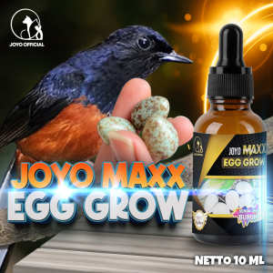 VITAMIN MEMPERBANYAK PRODUKSI TELUR |  MENINGKATKAN PRODUKSI TELUR  | MAXX EGG GROW 10 ML