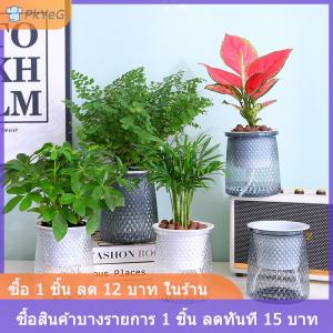 [COD] PkYeG กระถางต้นไม้พลาสติกใสรดน้ำเองสองชั้นแจกันดอกไม้อัตโนมัติกระถางต้นไม้สำหรับตกแต่งกระถางดอกไม้ไฮโดรโพนิก