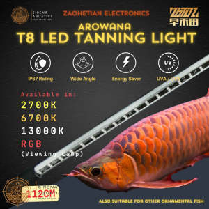 Zaohetian Arowana Tanning Light LED Lamp T8 with UVA/UVB - 45W 112CM for 4-5FT tanks